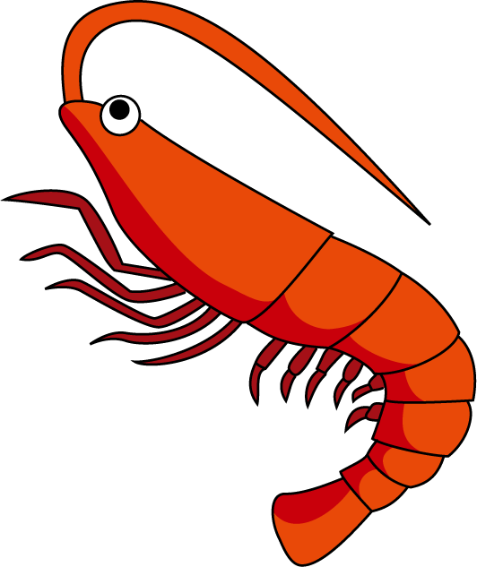 Red Shrimp Png Download Image - Clip Art Of Shrimp (532x633), Png Download