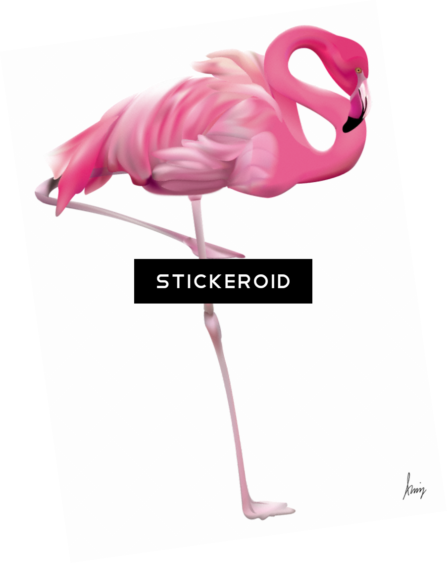 Flamingo - Flamingo Yard (903x1137), Png Download