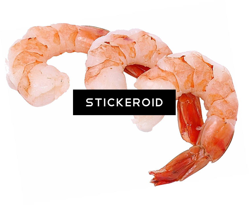 Shrimps - Some Shrimp On Your Tile Coaster (873x721), Png Download