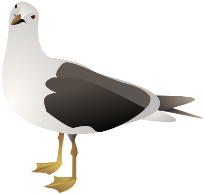 Gull Clip Art (600x424), Png Download