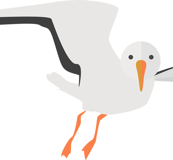 Seagull-600x556 - Illustration (600x556), Png Download
