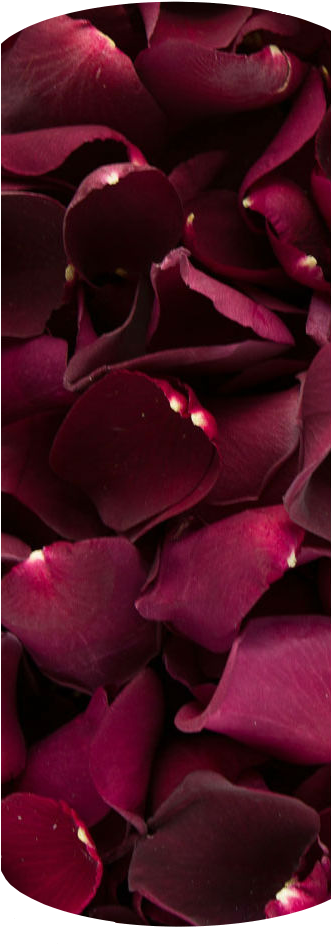 Romantic Bed Of Rose Petals 3 - Burgundy (330x996), Png Download
