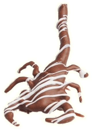 Chocolate Covered Scorpion (500x500), Png Download