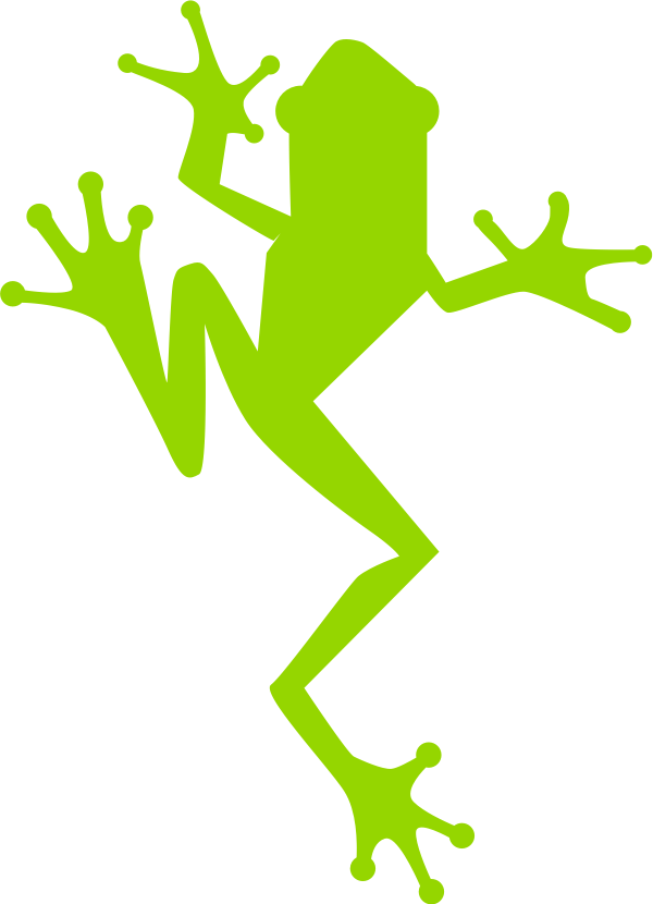 Etf Frog Green - Frog (600x830), Png Download