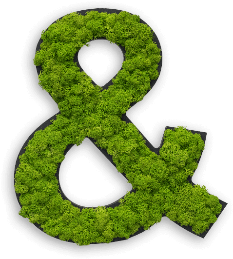P Moss Letter Png (500x555), Png Download