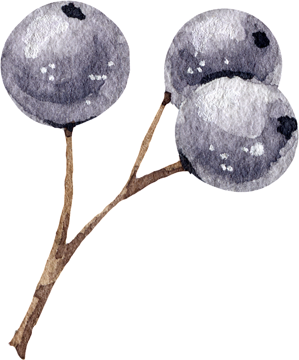 Blueberry (1024x1235), Png Download