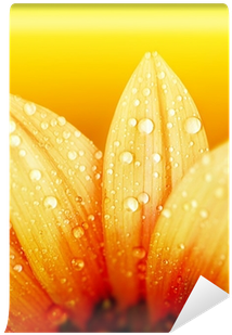 Briller De Sa Propre Lumière (400x400), Png Download