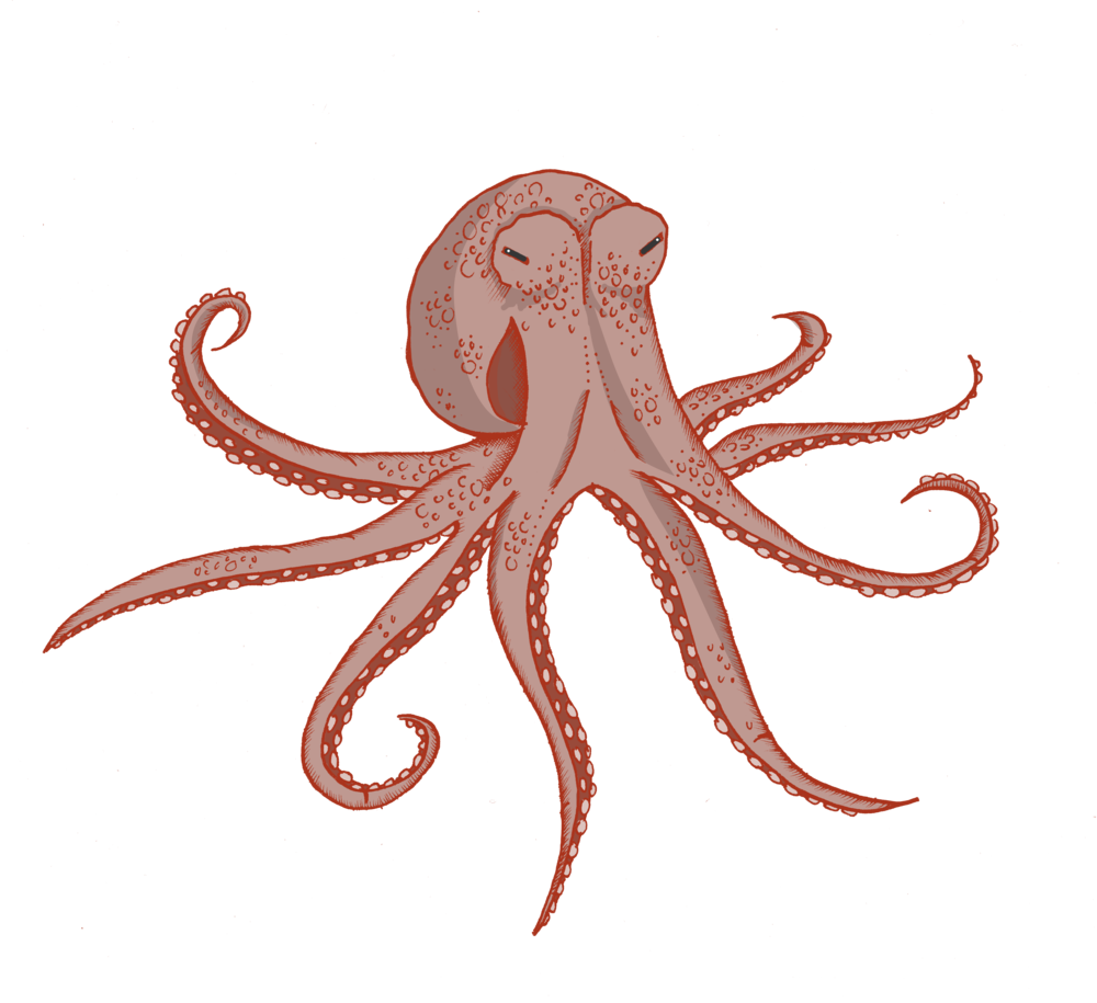 Octopus - Portable Network Graphics (1000x915), Png Download