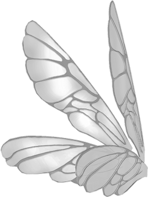 Wings Butterflywings Butterfly Fairy Fairywings - Fairy Wings (1024x1024), Png Download