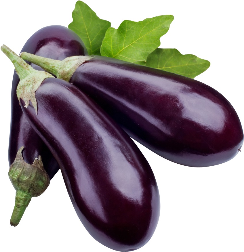 Eggplant Png Free Download - Eggplant Png (900x900), Png Download