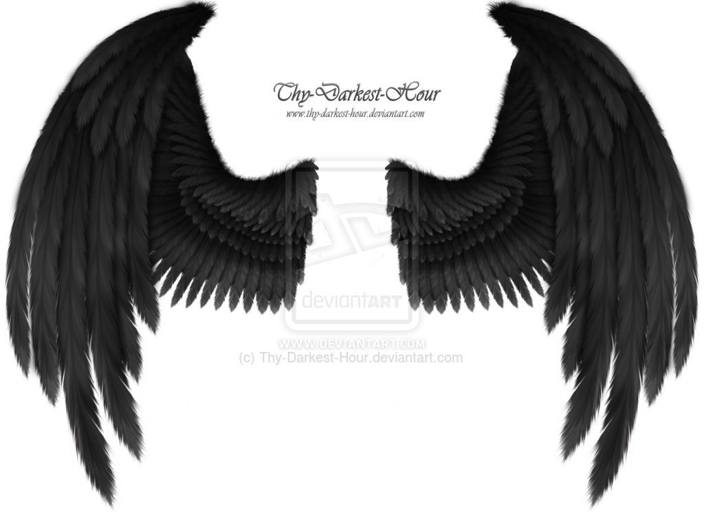 Ailes De Demon Png - Black Raven Wings Png (1024x745), Png Download