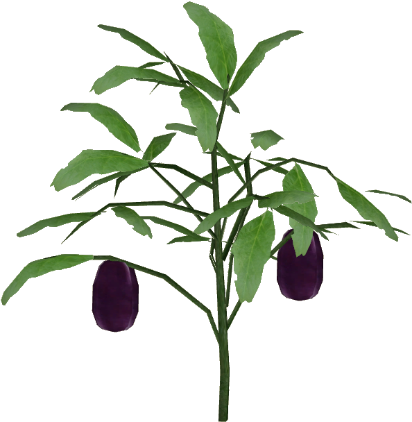 Eggplant - Wiki (607x607), Png Download