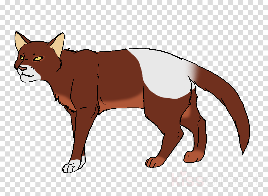 Black Cat With Yellow Eyes Png Clipart Havana Brown - Texas Transparent Background (900x660), Png Download