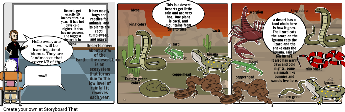 The Desert - Cartoon (1164x385), Png Download