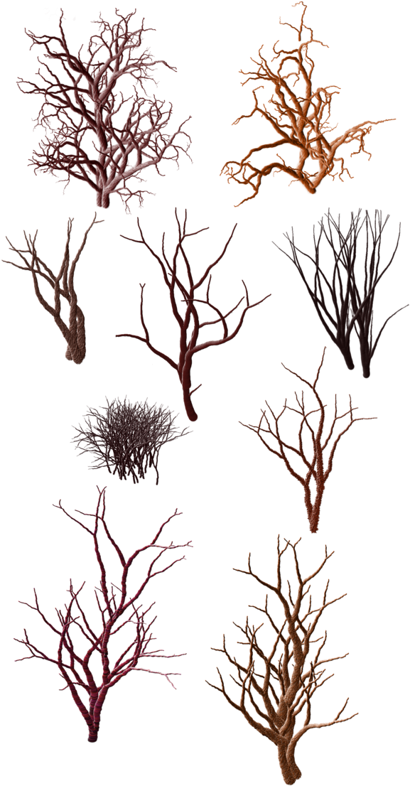 Dry Grass Clipart Desert Shrub - Png Tree In Desert (600x1165), Png Download
