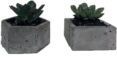 Succulent Large Hex Pot Set - Flowerpot (600x564), Png Download
