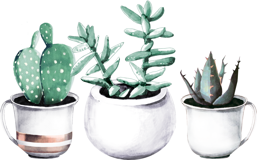 Books - Tropical Fabric - Cactuses In Pots - Green Custom Fabric (1050x657), Png Download