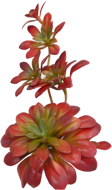 Sun Kissed Succulent Pick - Artificial Flower (498x870), Png Download