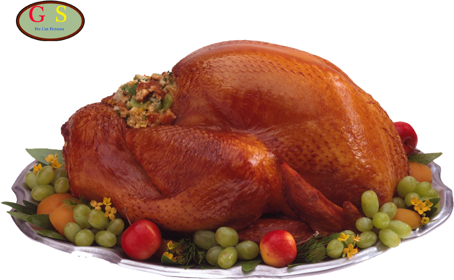 Kalkoen 3, Kalkoen - Mystery Science Theater 3000 Thanksgiving (1000x800), Png Download