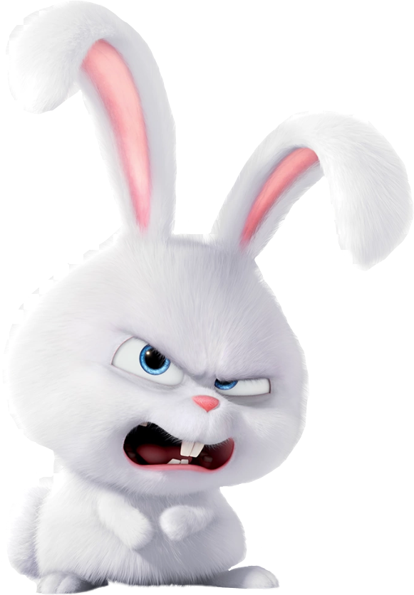Report Abuse - Rabbit On Secret Life Of Pets Name (581x836), Png Download