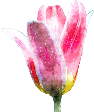Watercolor Flower By Lavandalu - Snow Crocus (354x398), Png Download
