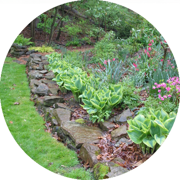 Gardens - Mission Oaks Gardens (370x370), Png Download