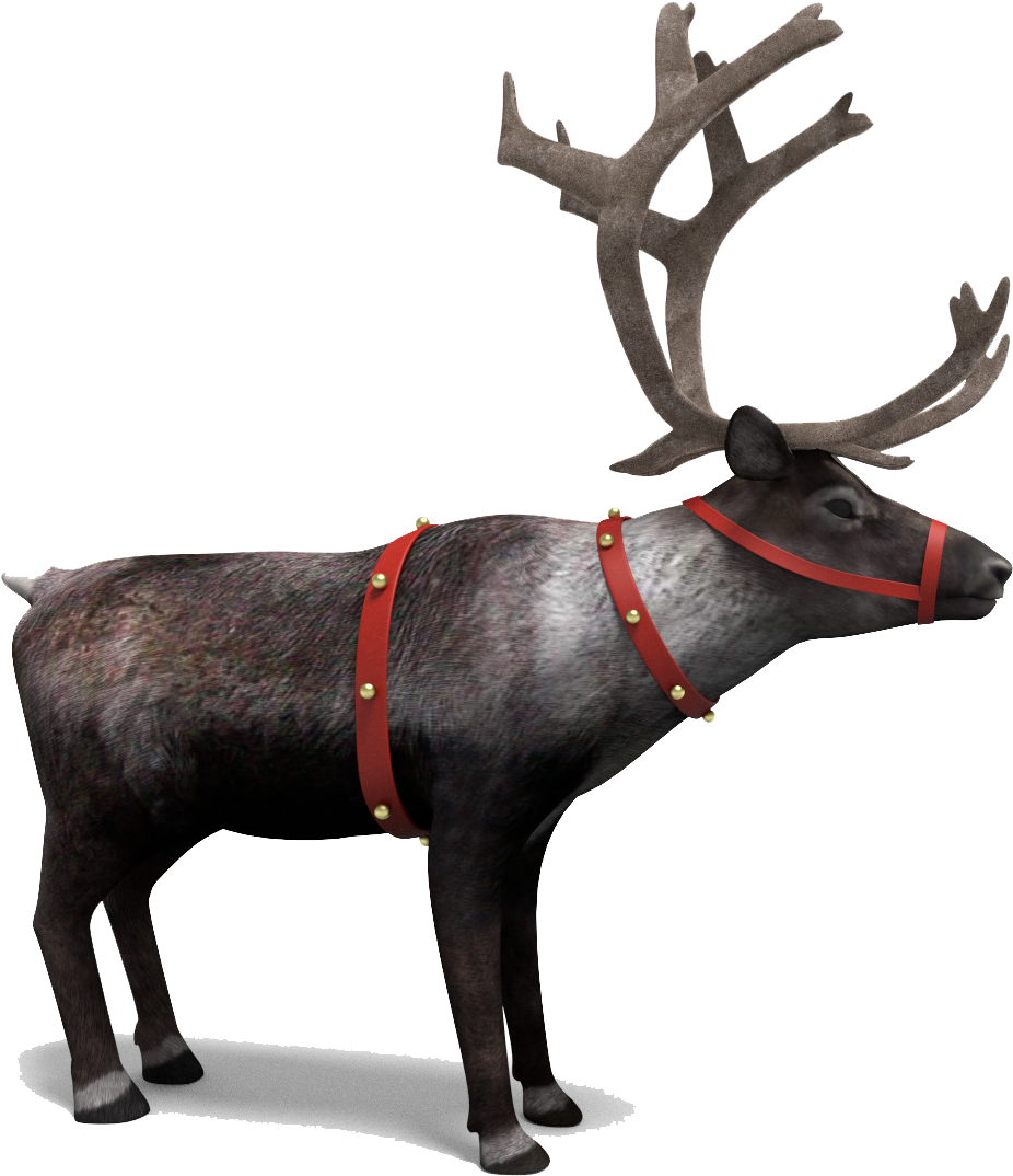 Reindeer Png Picture - Reindeer Png (1200x1200), Png Download
