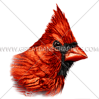 Cardinal - Mug (385x385), Png Download
