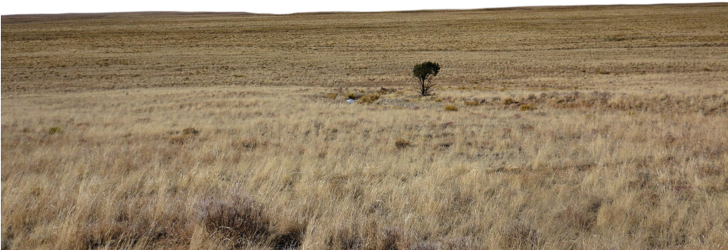 Landscape Png Hd - Tse:mrd (1024x682), Png Download