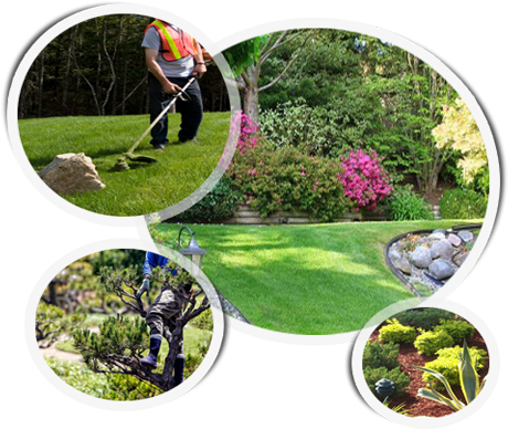 Landscaping - Gearxs 4-in-1 Garden Weather Station (490x410), Png Download