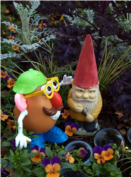 Posted By Felder Rushing On Aug 22, 2014 At - Animal Figure (640x360), Png Download