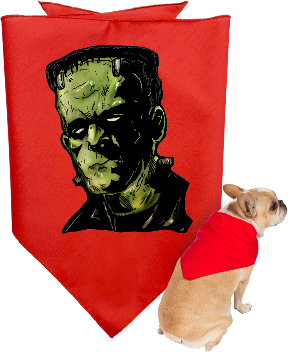 Customcat 3905 Doggie Bandana (1155x1155), Png Download