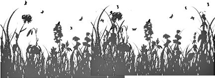 13 103k Grass Layer 06 Apr 2017 - Silhouette (660x241), Png Download