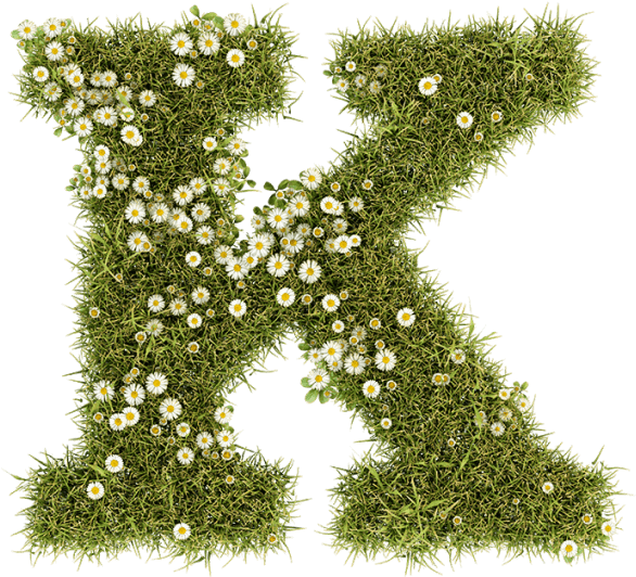 Daisy Font - Belgrade (595x595), Png Download