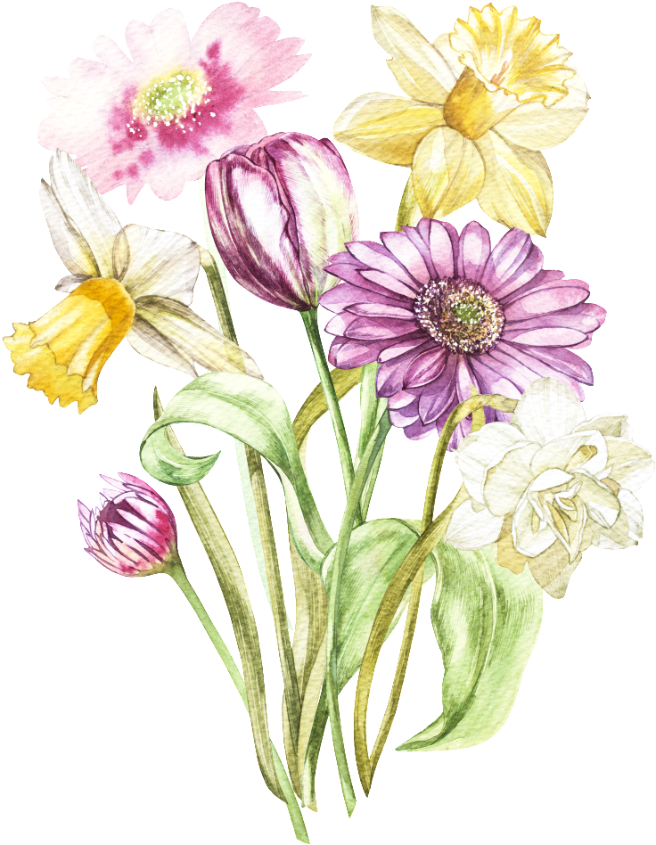 Colorful Hand Drawn Daisy Flower Transparent - Illustration (1024x1137), Png Download