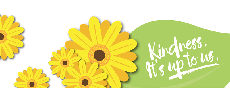 2-2x - African Daisy (800x800), Png Download