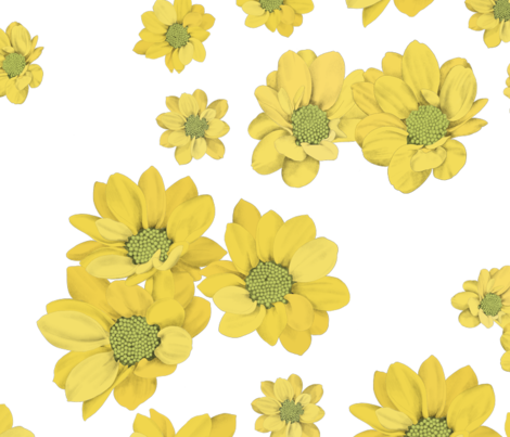Yellow Daisies On White Fabric By Daniwilliams On Spoonflower - African Daisy (470x403), Png Download