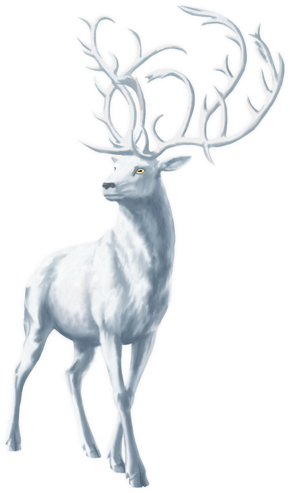 Elk (648x1000), Png Download