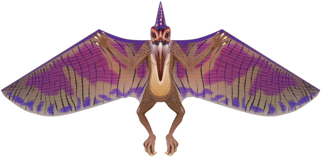 64" Pterodactyl Kite - Brainstorm Wns Dinosoars 31x64 Nylon Pterodactyl Kite (1280x792), Png Download