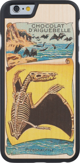 Vintage Pterodactyl Iphone 6 Case - Loon (341x693), Png Download