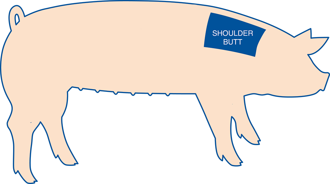Pig Butt Png - Boston (1080x601), Png Download