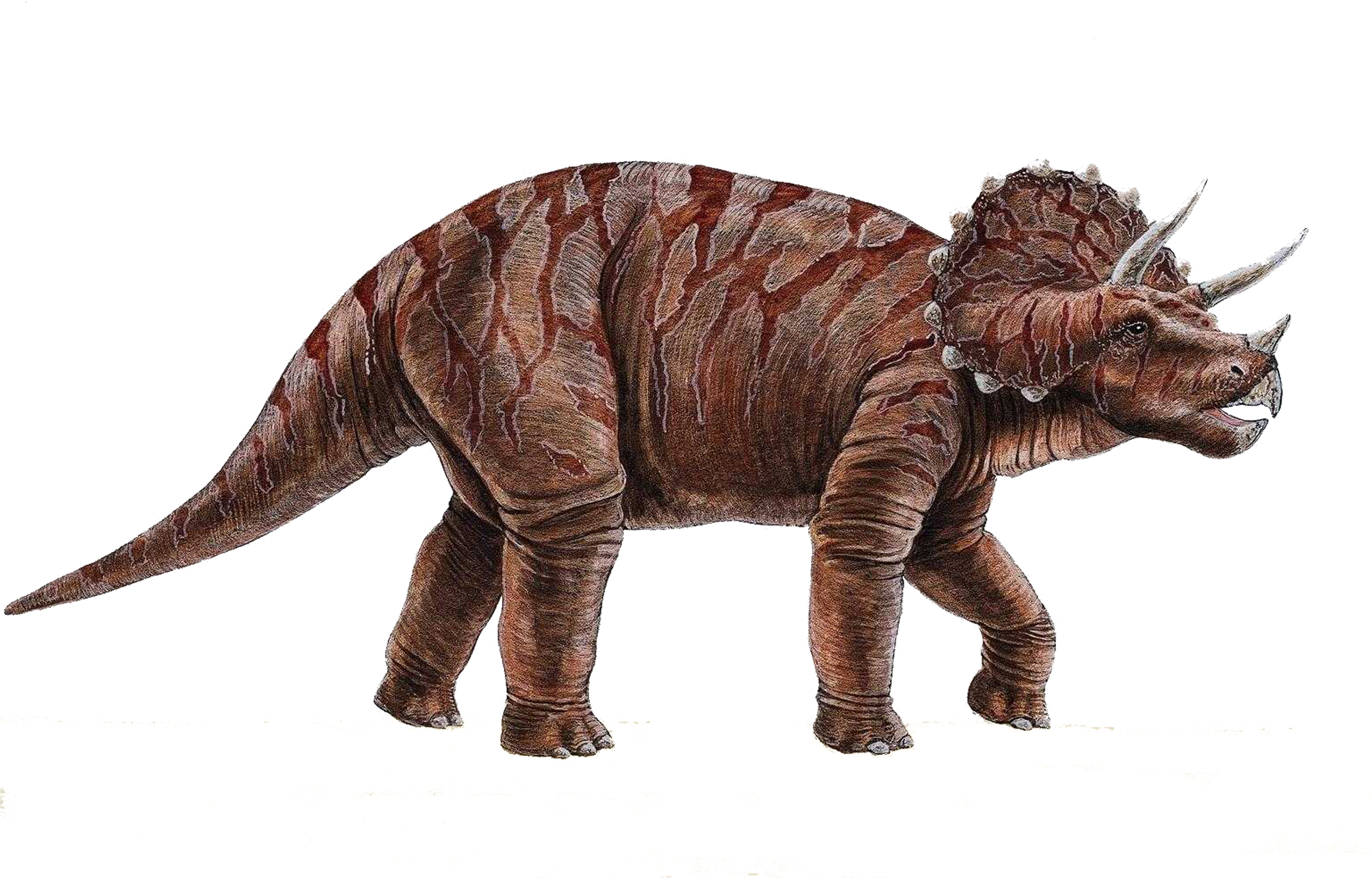 Dinosaur Png - Fantastic Facts About Dinosaurs (3543x2362), Png Download