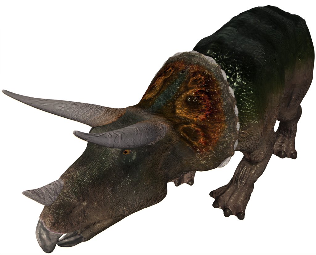 Triceratops B1 V1 E1424962798125 - Triceratops (1024x865), Png Download