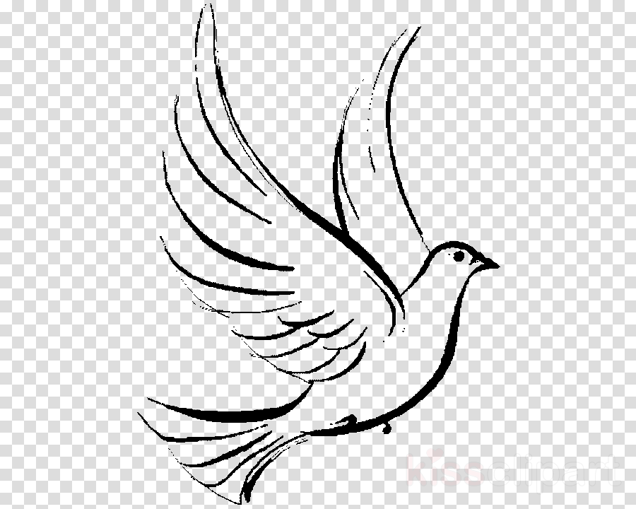 Dove Clipart Pigeons And Doves Doves As Symbols Clip - Art (900x720), Png Download