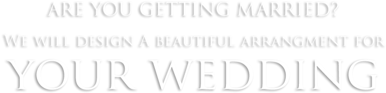 Wedding-text - Carnicerias El Jarocho (869x296), Png Download