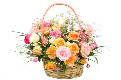 Sympathy - Rakhi And Dairy Milk (405x508), Png Download