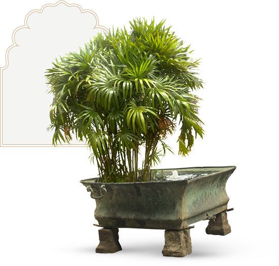 The Badam Chowk Is One Of The Two Principal Courtyards - Flowerpot (550x525), Png Download