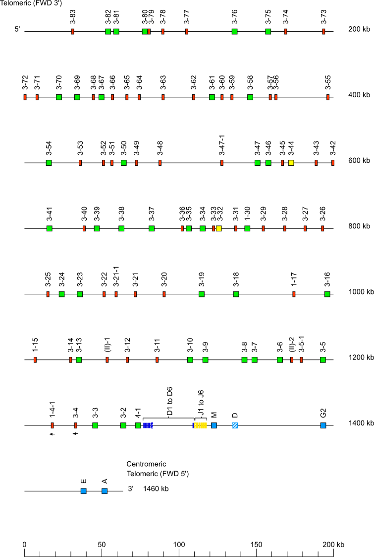 Locus Representation Dog Igh - Number (755x1122), Png Download