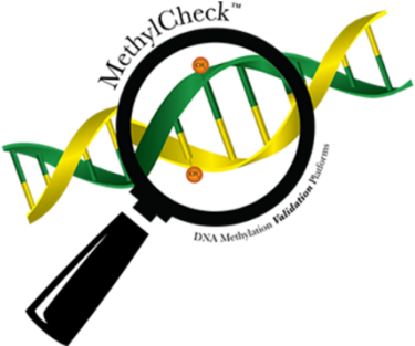 Benefits Of Using The Methylcheck™ Service Methylcheck - 5-methylcytosine (524x312), Png Download