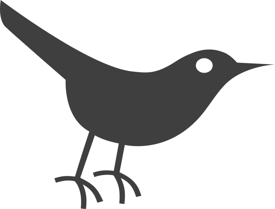 Twitter Bird Icon (946x720), Png Download
